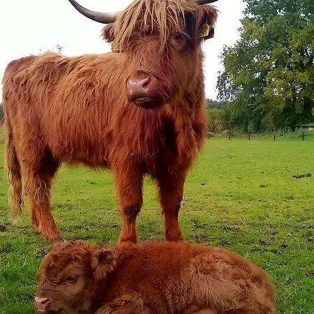 Bed & Breakfast Bed En Boterham Hoeve Boord Ven