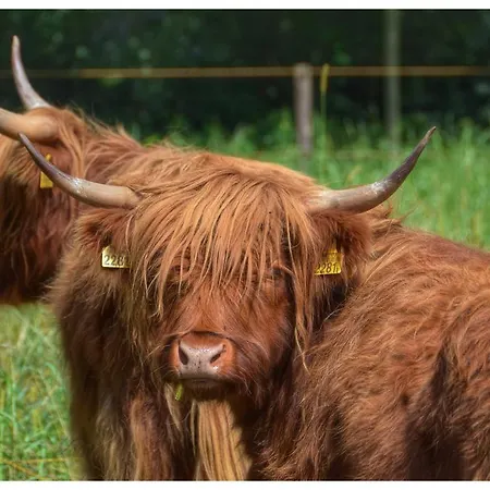 Bed En Boterham Hoeve Boord Ven