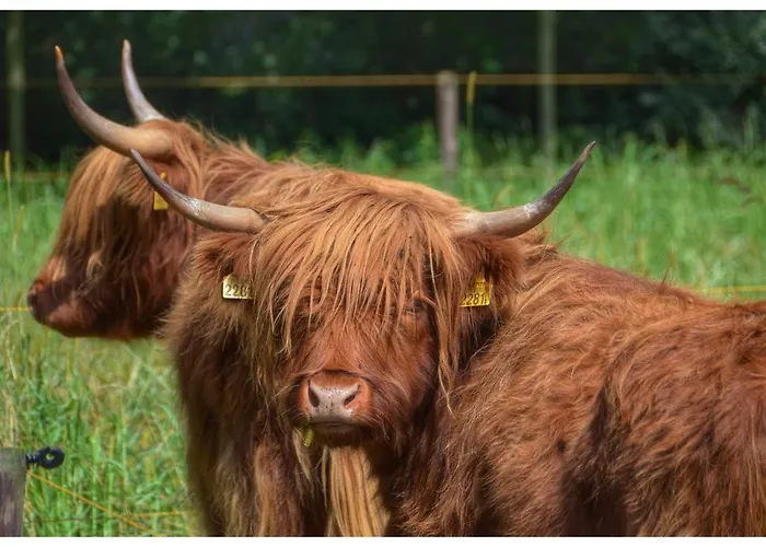 Bed En Boterham Hoeve Boord Ven